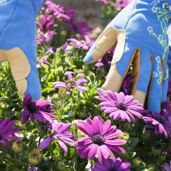 Ladies Slim Fit Small Garden Gloves Blue