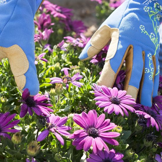 Ladies Slim Fit Small Garden Gloves Blue