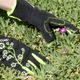 Ladies Slim Fit X-small Garden Gloves Black